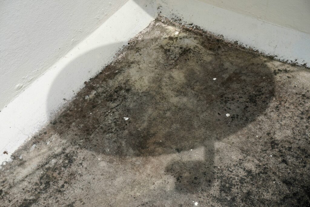 photo 1756007488862 2ad25618deed