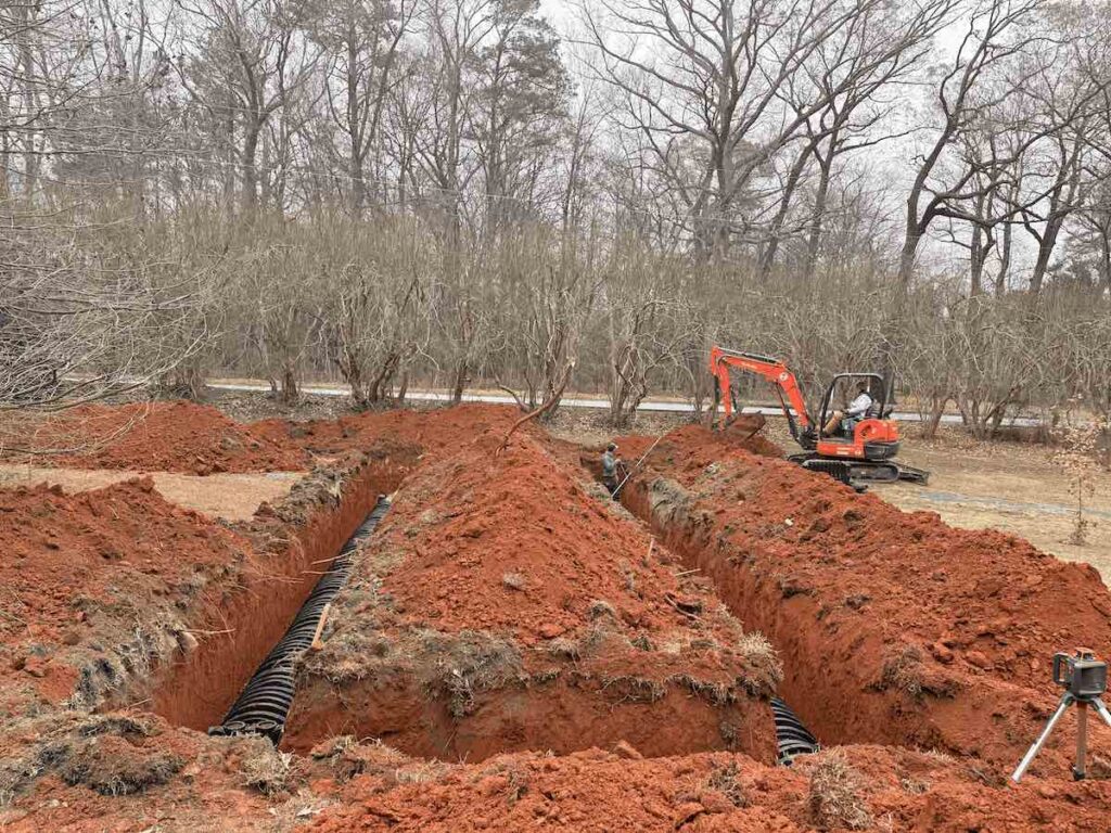 IMG 3542 2 compressed