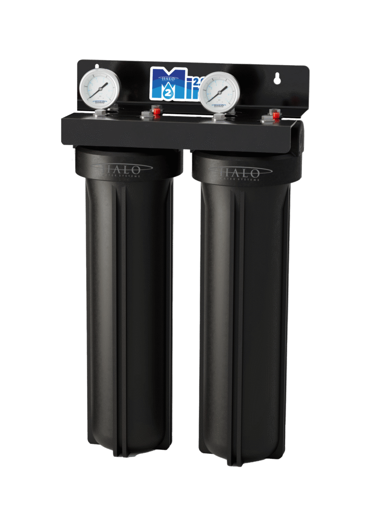 Mini 2 with Logo 1